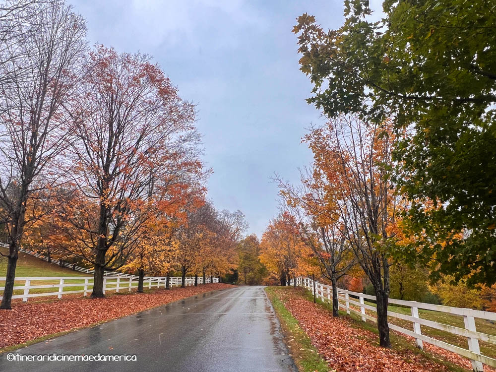 New England On The Road: Vermont